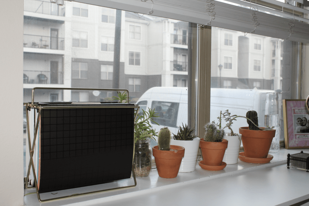 cacti and succulents on window shelf next to filing system