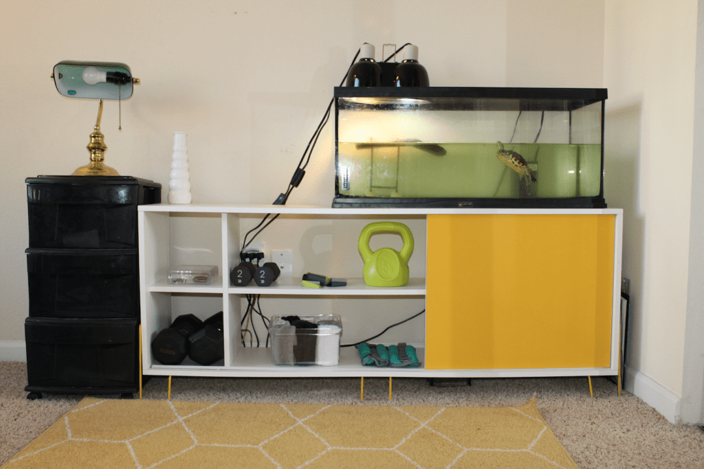 midcentury modern cabinet with free weights on shelves and a turtle tank on top