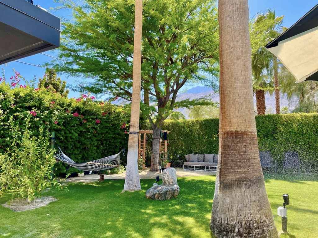 palm springs airbnb backyard