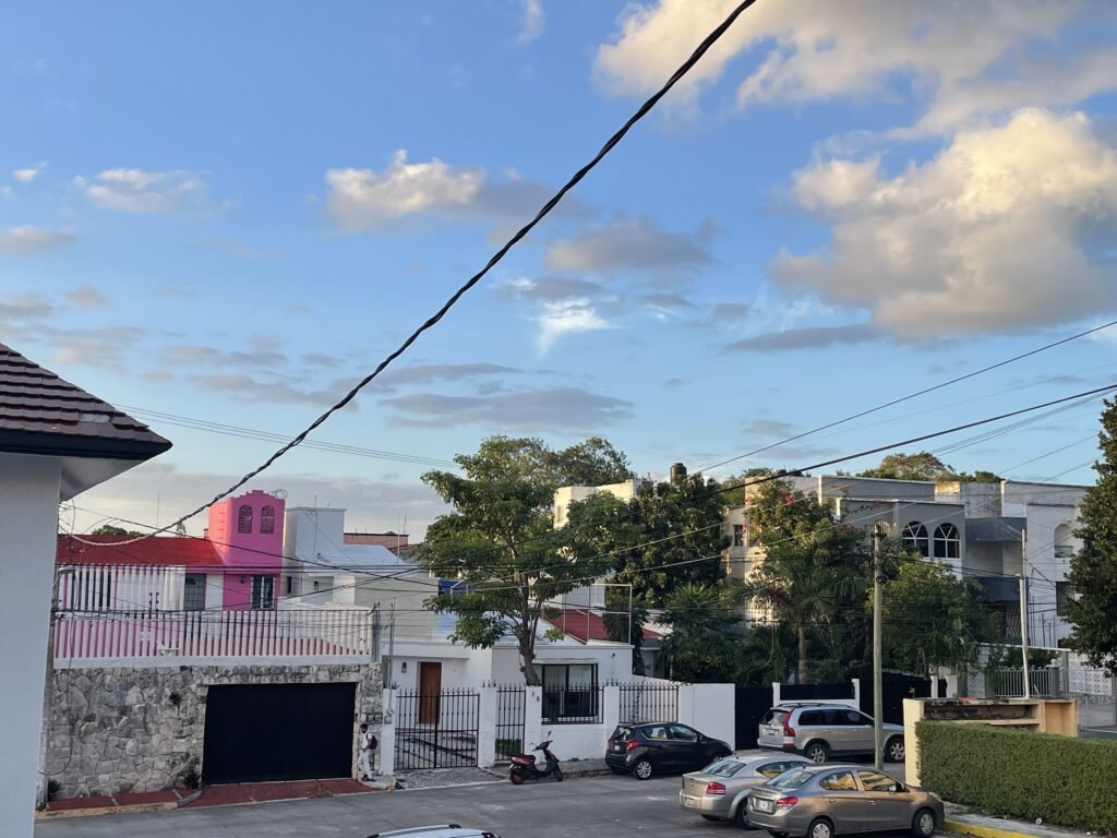 View from airbnb of Cancun architecture with bright pink house in the background and lots of palm trees and green 