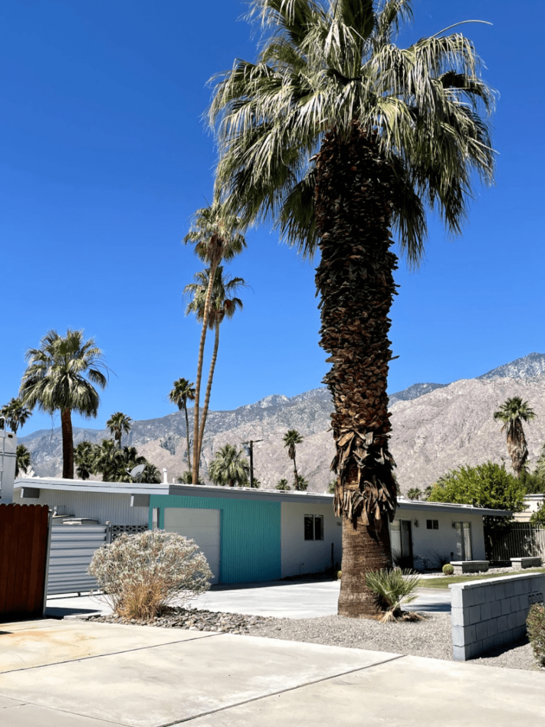 Bright and colorful teal and white mid-century modern architecture in Palm spings with large palm trees and blue skies